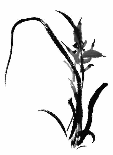 chinese master paintings birds floral c art b0291 A4 Photo Print