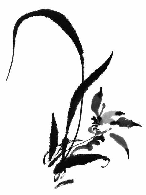 chinese master paintings birds floral c art b0292 A4 Photo Print