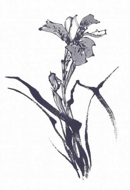 chinese master paintings birds floral c art b0296 A4 Photo Print