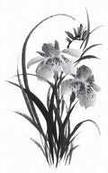 chinese master paintings birds floral c art b0297 A4 Photo Print
