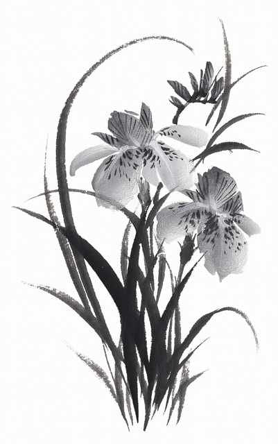 chinese master paintings birds floral c art b0297 A4 Photo Print