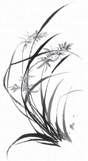 chinese master paintings birds floral c art b0299 A4 Photo Print