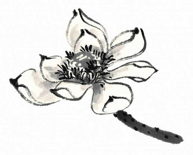 chinese master paintings birds floral c art b0302 A4 Photo Print