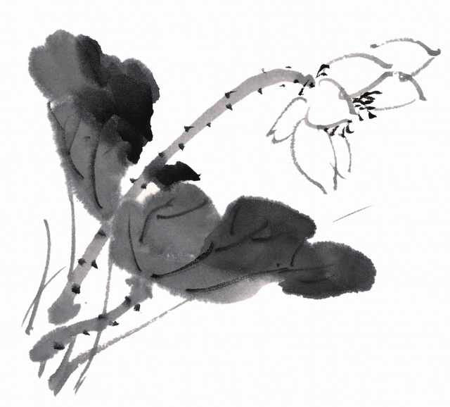chinese master paintings birds floral c art b0304 A4 Photo Print