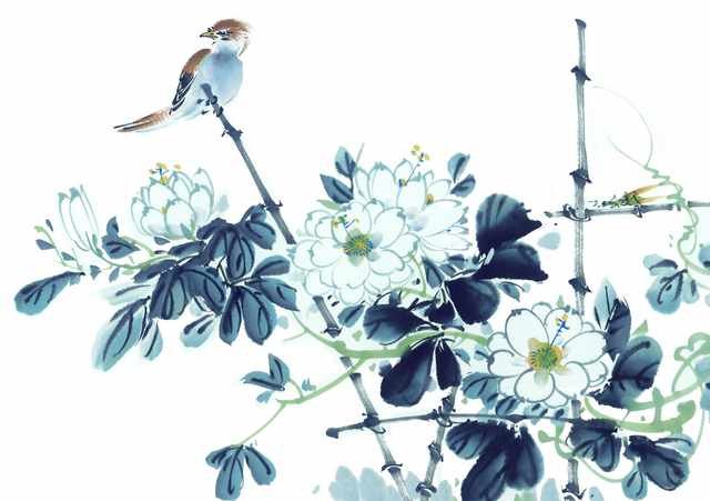 chinese master paintings birds floral c art b0306 A4 Photo Print