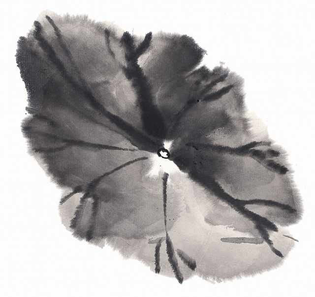 chinese master paintings birds floral c art b0308 A4 Photo Print