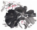 chinese master paintings birds floral c art b0309 A4 Photo Print