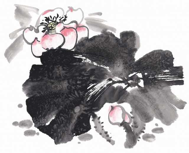 chinese master paintings birds floral c art b0309 A4 Photo Print