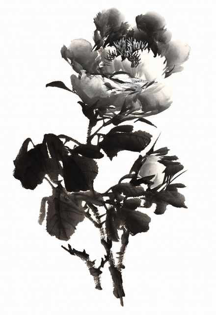chinese master paintings birds floral c art b0312 A4 Photo Print