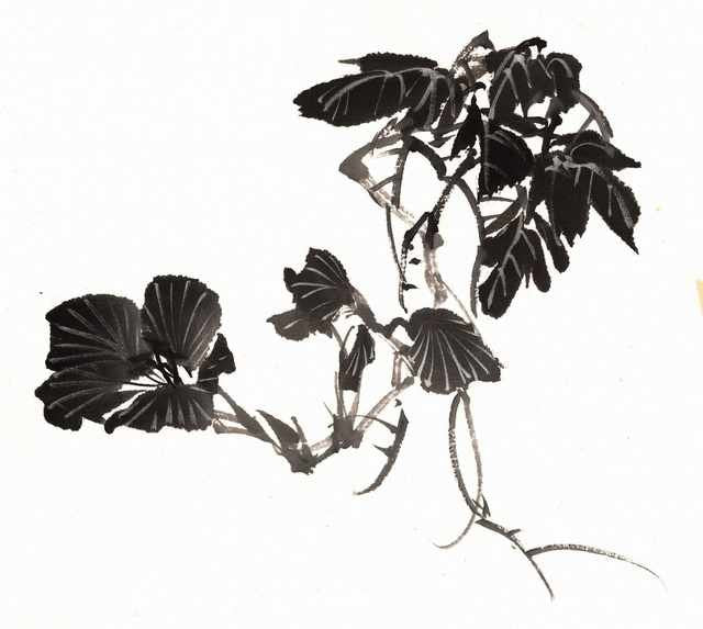 chinese master paintings birds floral c art b0313 A4 Photo Print
