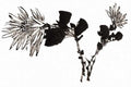 chinese master paintings birds floral c art b0314 A4 Photo Print