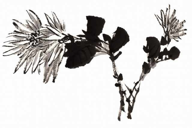 chinese master paintings birds floral c art b0314 A4 Photo Print