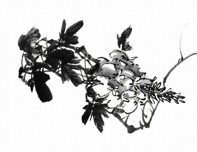 chinese master paintings birds floral c art b0315 A4 Photo Print