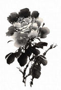 chinese master paintings birds floral c art b0317 A4 Photo Print