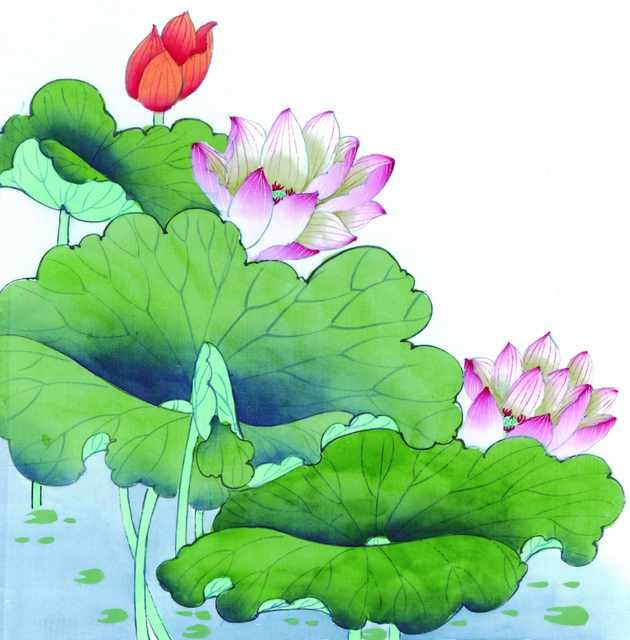 chinese master paintings birds floral c art b0318 A4 Photo Print