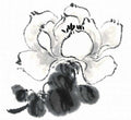 chinese master paintings birds floral c art b0319 A4 Photo Print
