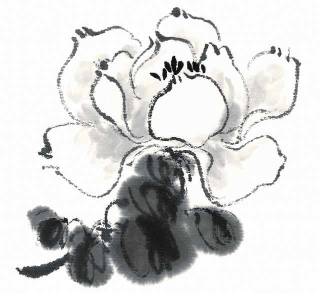 chinese master paintings birds floral c art b0319 A4 Photo Print
