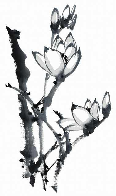 chinese master paintings birds floral c art b0320 A4 Photo Print