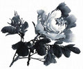 chinese master paintings birds floral c art b0321 A4 Photo Print