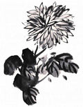 chinese master paintings birds floral c art b0325 A4 Photo Print