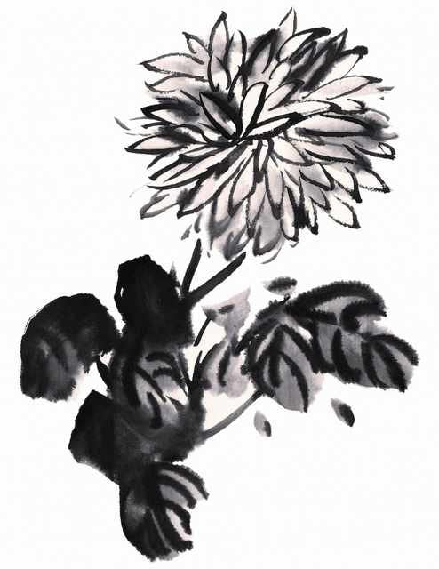 chinese master paintings birds floral c art b0325 A4 Photo Print