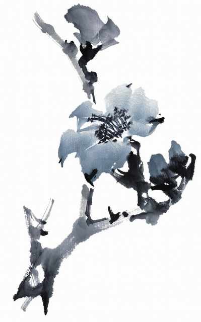 chinese master paintings birds floral c art b0326 A4 Photo Print