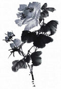 chinese master paintings birds floral c art b0328 A4 Photo Print
