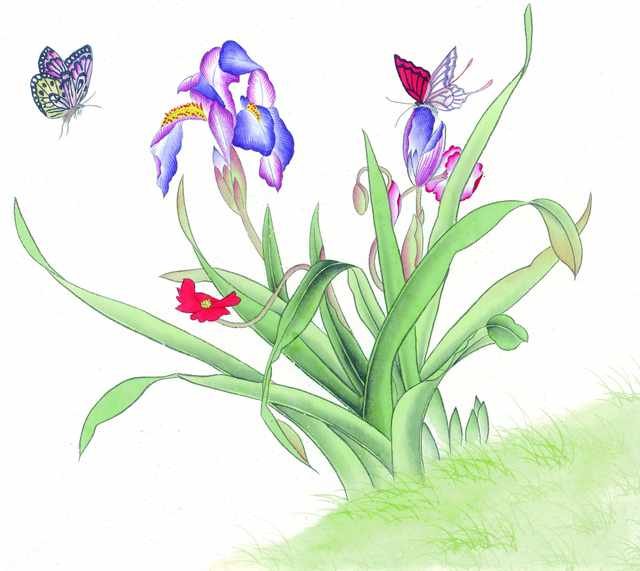 chinese master paintings birds floral c art b0329 A4 Photo Print