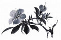 chinese master paintings birds floral c art b0330 A4 Photo Print