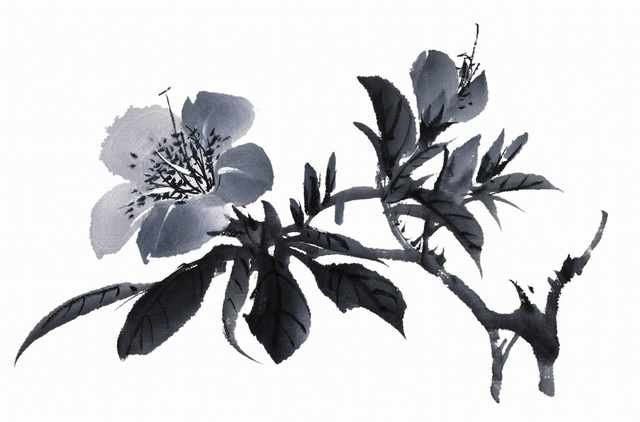 chinese master paintings birds floral c art b0330 A4 Photo Print