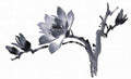 chinese master paintings birds floral c art b0332 A4 Photo Print