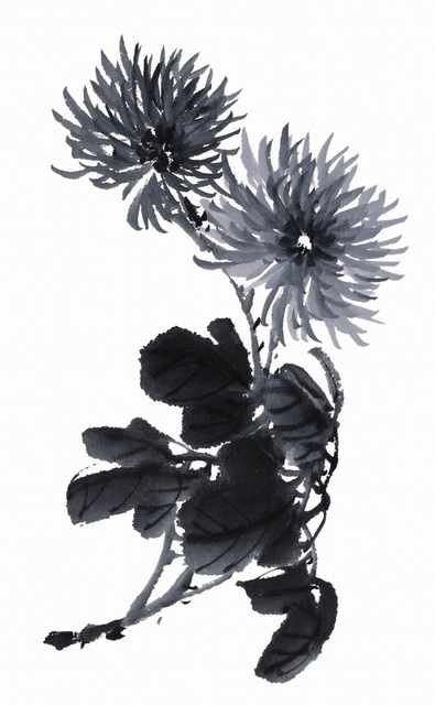 chinese master paintings birds floral c art b0334 A4 Photo Print