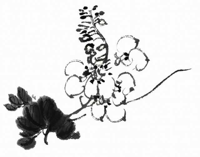 chinese master paintings birds floral c art b0335 A4 Photo Print