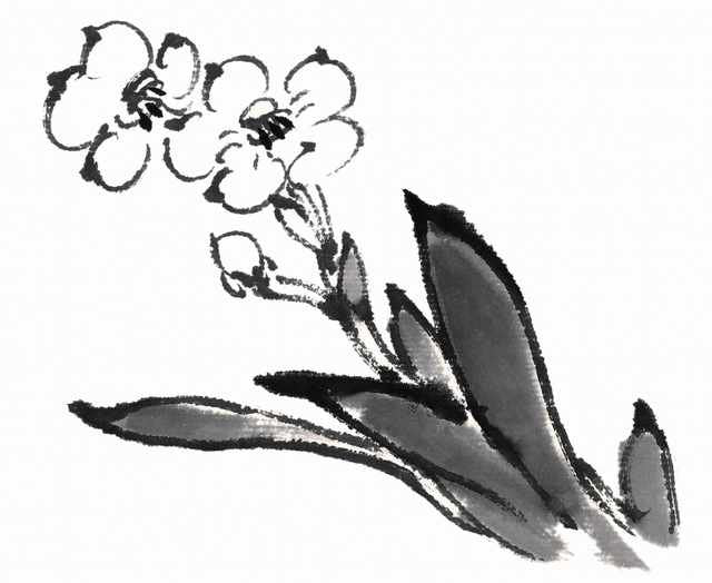 chinese master paintings birds floral c art b0336 A4 Photo Print
