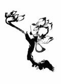 chinese master paintings birds floral c art b0337 A4 Photo Print