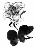 chinese master paintings birds floral c art b0338 A4 Photo Print