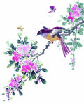 chinese master paintings birds floral c art b0340 A4 Photo Print