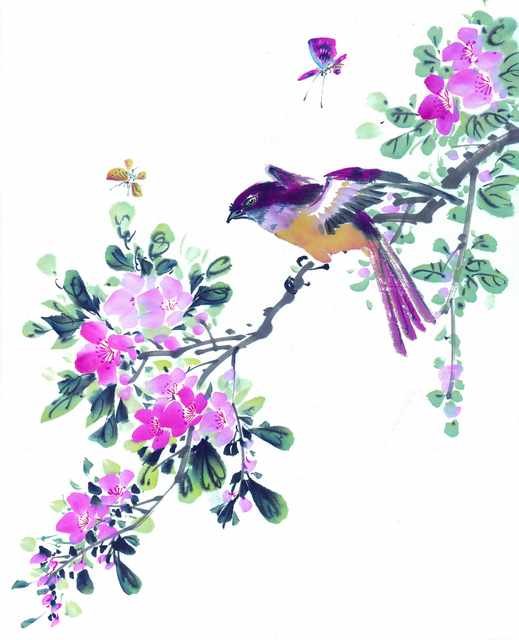 chinese master paintings birds floral c art b0340 A4 Photo Print