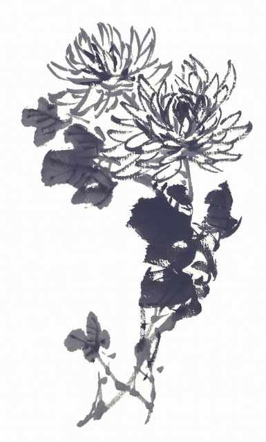 chinese master paintings birds floral c art b0341 A4 Photo Print