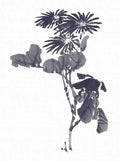 chinese master paintings birds floral c art b0342 A4 Photo Print