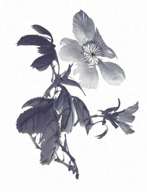 chinese master paintings birds floral c art b0343 A4 Photo Print