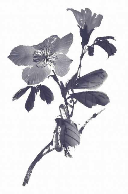 chinese master paintings birds floral c art b0344 A4 Photo Print