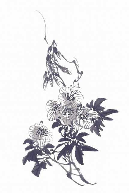 chinese master paintings birds floral c art b0345 A4 Photo Print