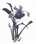 chinese master paintings birds floral c art b0346 A4 Photo Print
