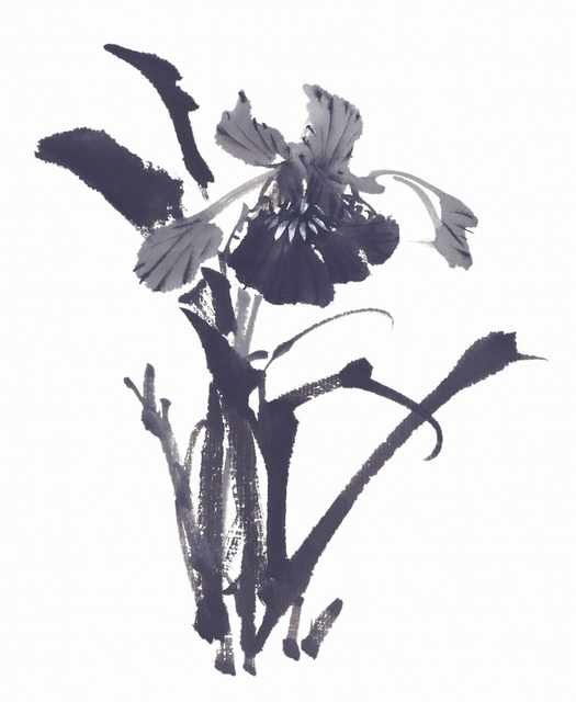 chinese master paintings birds floral c art b0346 A4 Photo Print