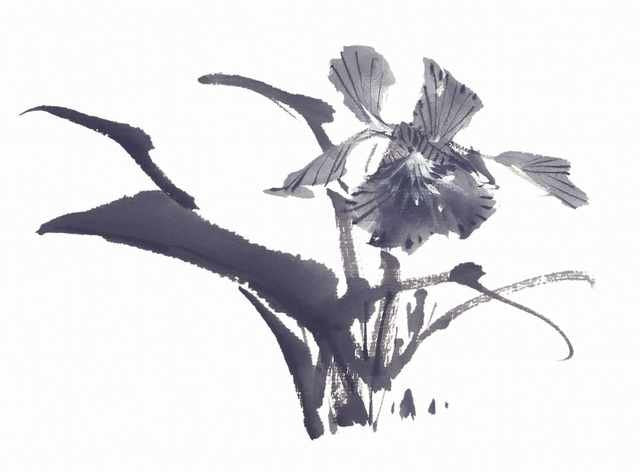 chinese master paintings birds floral c art b0347 A4 Photo Print