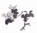 chinese master paintings birds floral c art b0348 A4 Photo Print