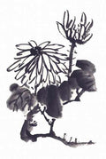 chinese master paintings birds floral c art b0349 A4 Photo Print