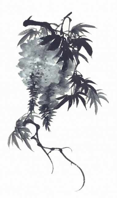 chinese master paintings birds floral c art b0352 A4 Photo Print