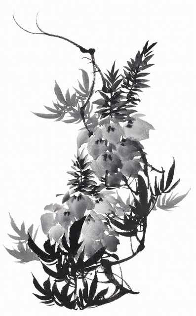 chinese master paintings birds floral c art b0353 A4 Photo Print